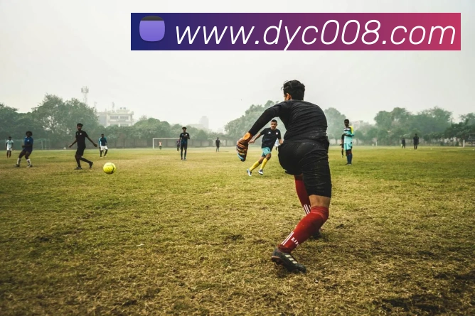 登录器 登录器